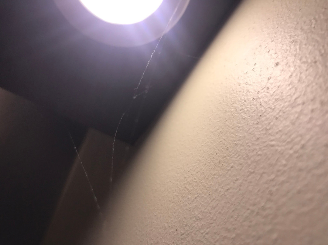 活动SPA蓝钻石酒店主图