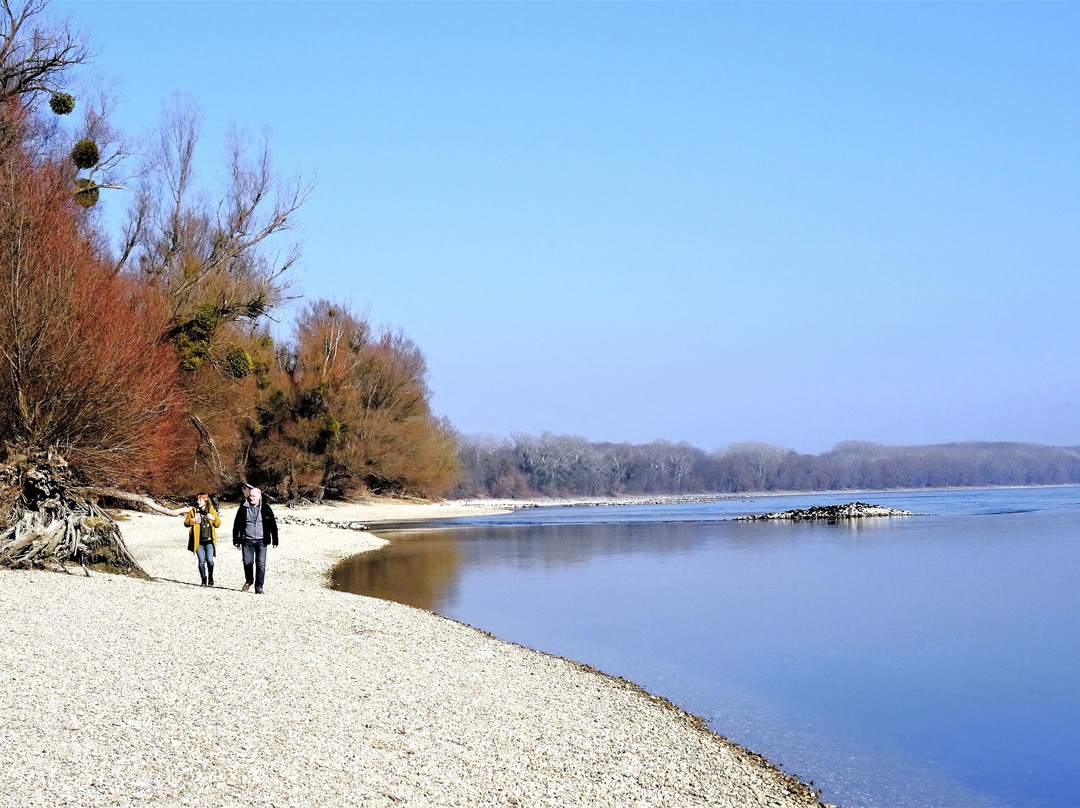 Nationalpark Donau-Auen-Orth an der Donau必去景点