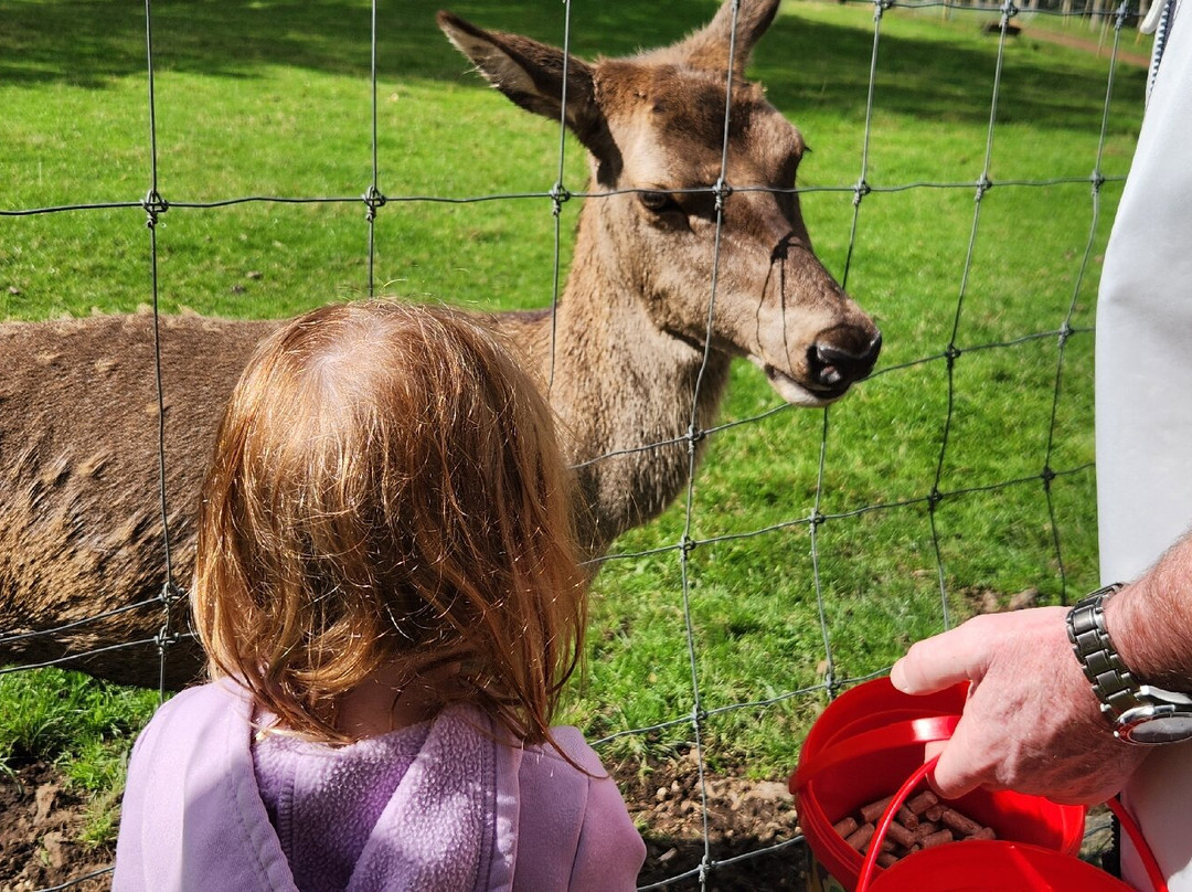 Lilliput Farm Fun And Animal Park-陶波必去景点