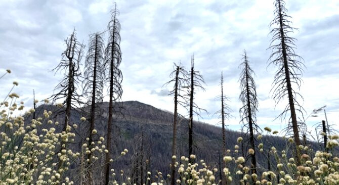 Lassen Volcanic National Park Hiking Trails-拉森火山国家公园必去景点