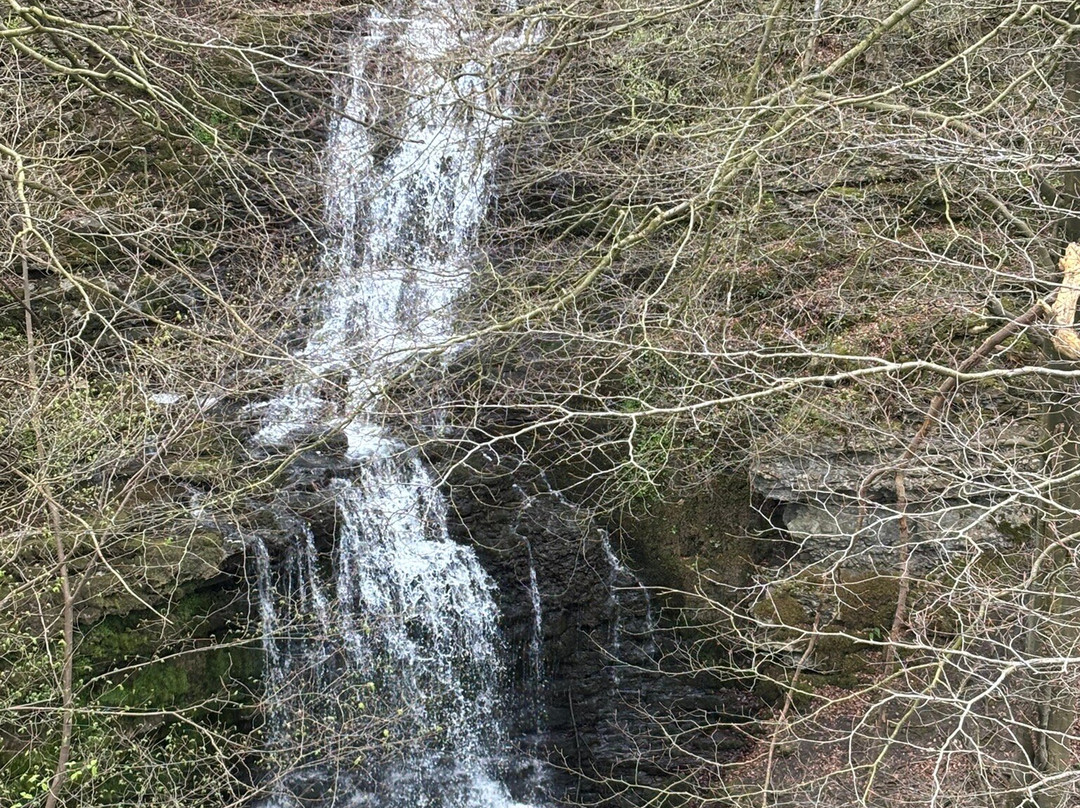 Scaleber Force-Settle必去景点