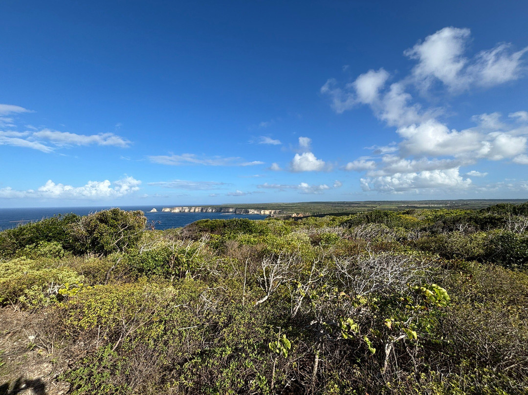 Pointe de la Grande Vigie-Anse-Bertrand必去景点