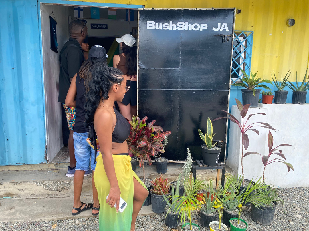 Bushshopja