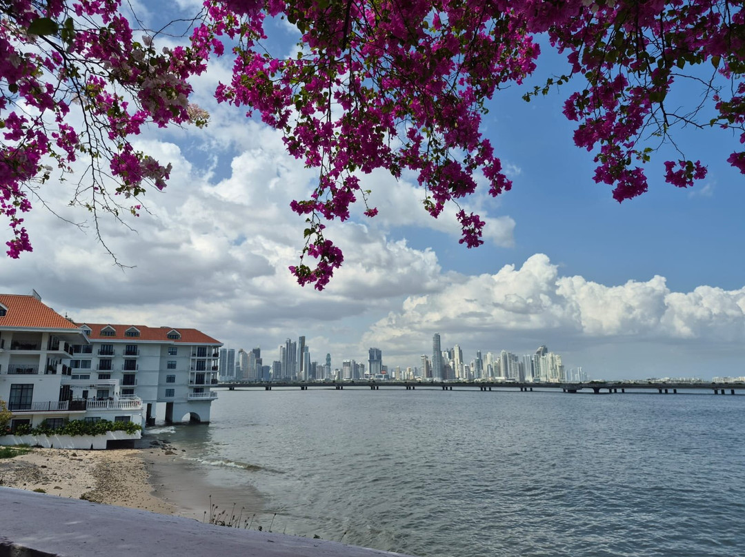 巴拿马城考古遗址-巴拿马城必去景点