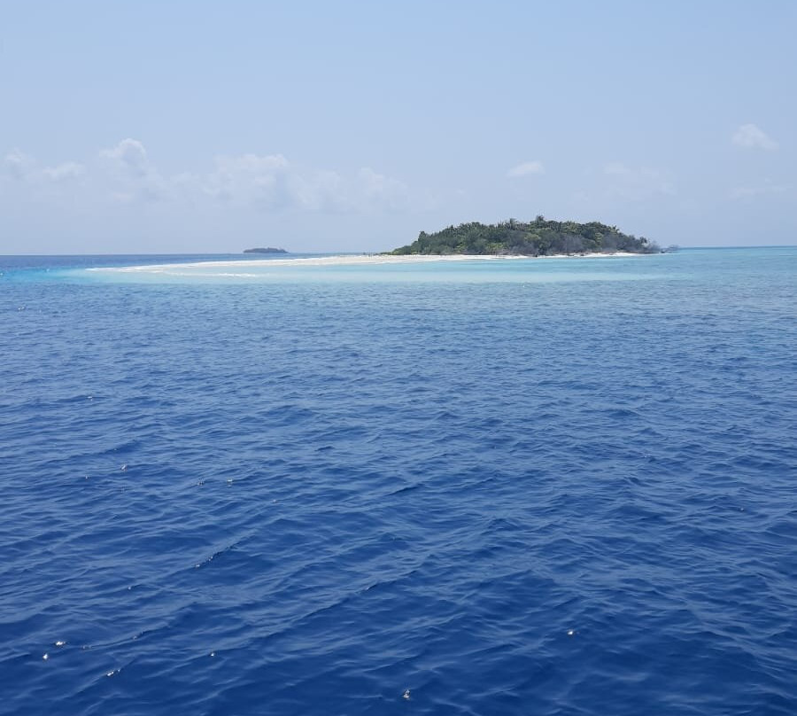 Dharavandhoo Divers-Dharavandhoo必去景点