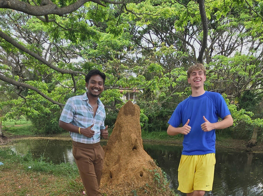 Sri Lanka Driver Tours-Yatiyana必去景点