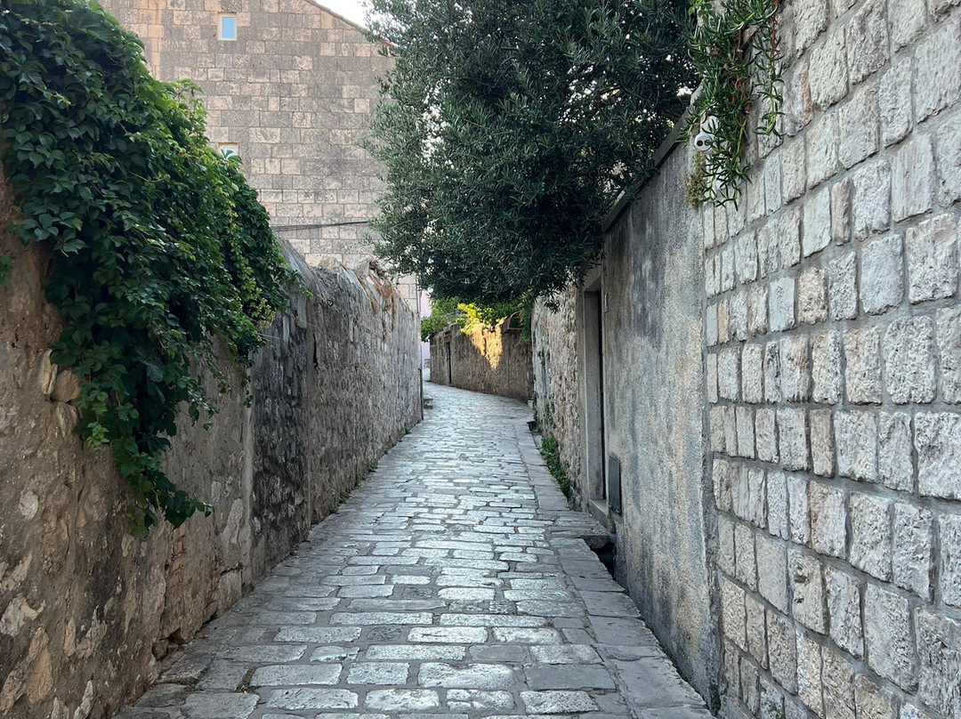 限成人的Nobile遗产别墅主图