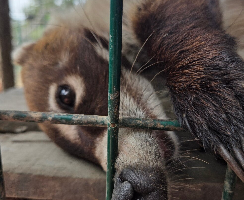 Santuario de Cocodrilos El Cora-Bucerias必去景点