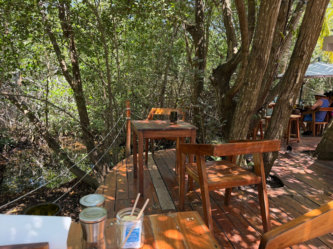 Jungla Cafe