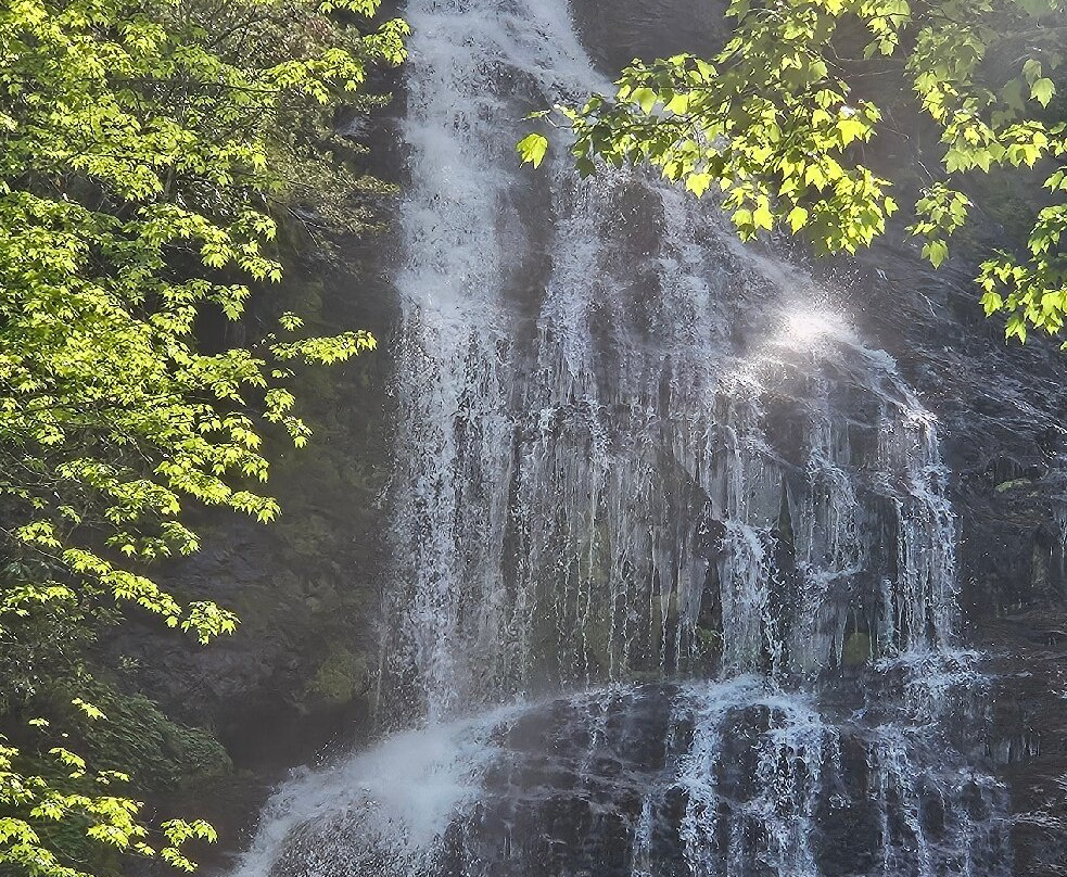 Mingo Falls-切罗基必去景点