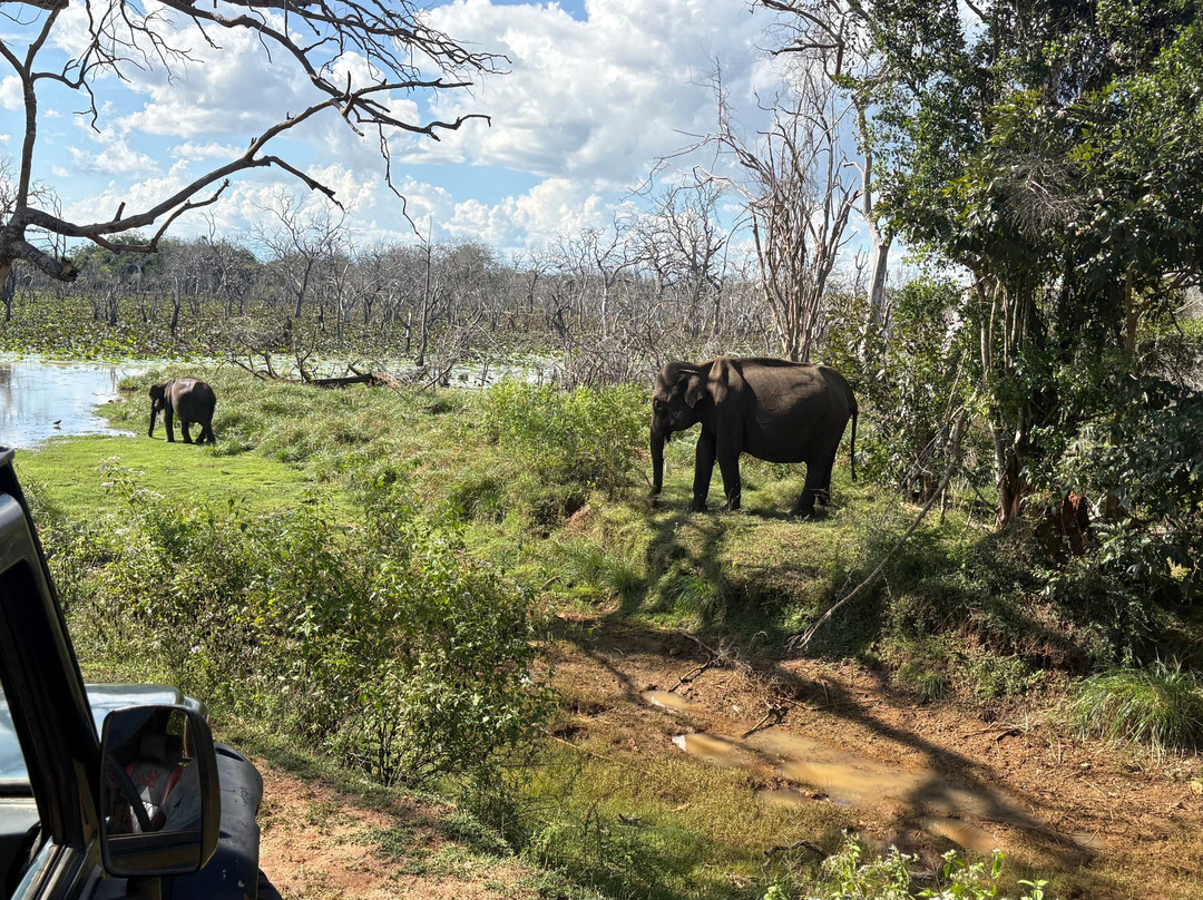 Didulanka yala safari-Thanamalwila必去景点