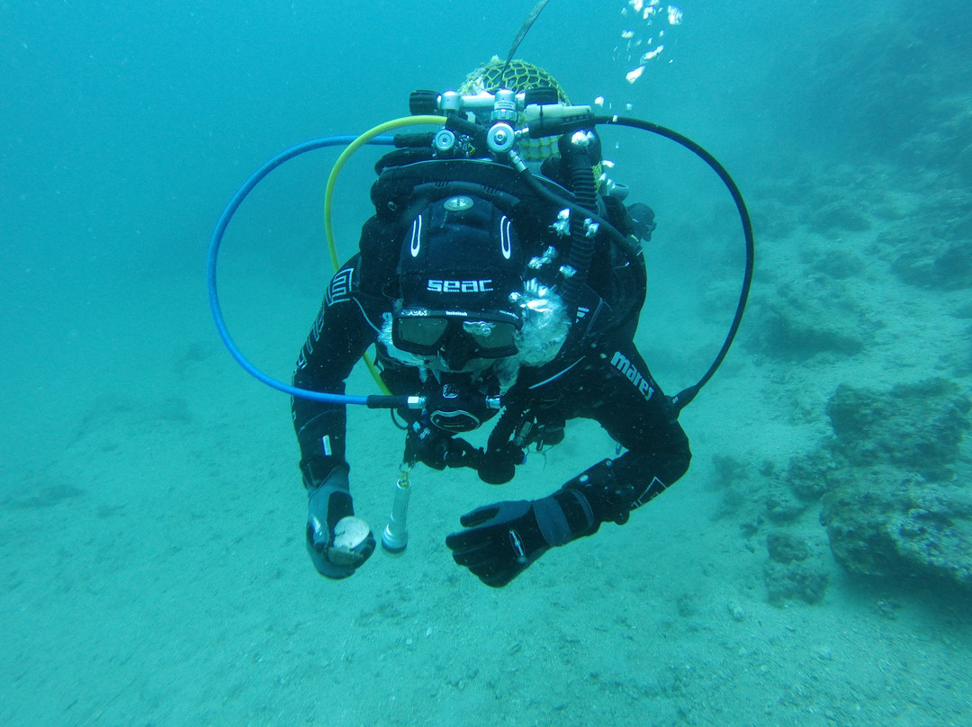 Starfish Diving Center-弗萨必去景点