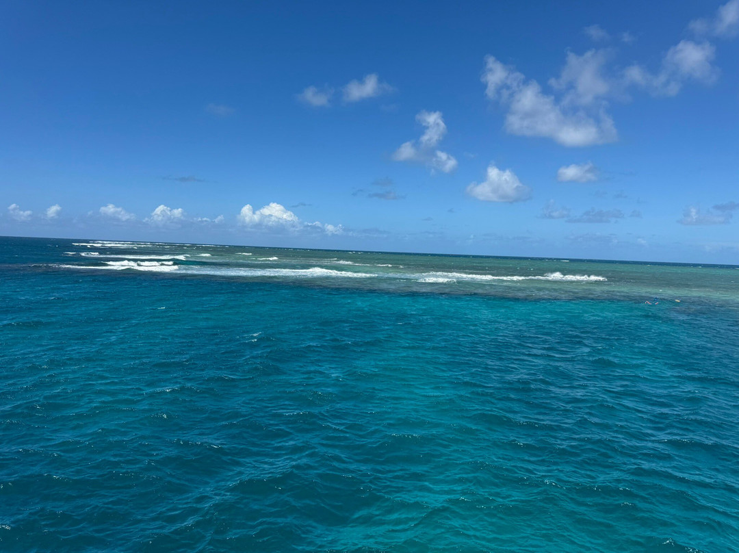 ABC Reef Safaris-道格拉斯港必去景点