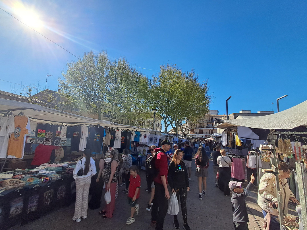 Alcudia Markt-阿库迪亚必去景点