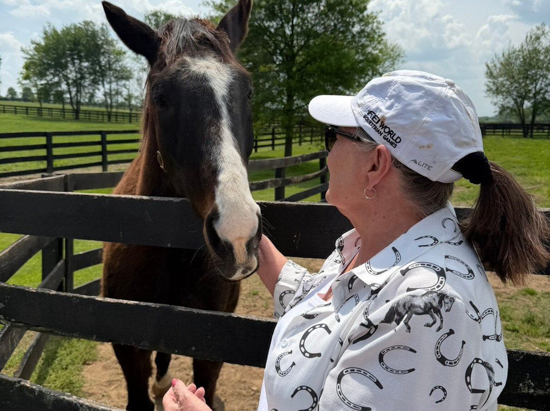 Old Friends at Dream Chase Farm-Georgetown必去景点