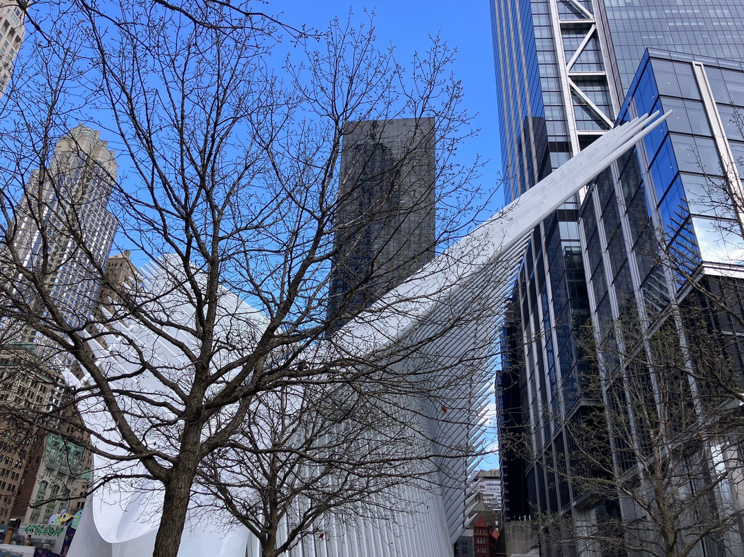 World Trade Center's Liberty Park-纽约市必去景点