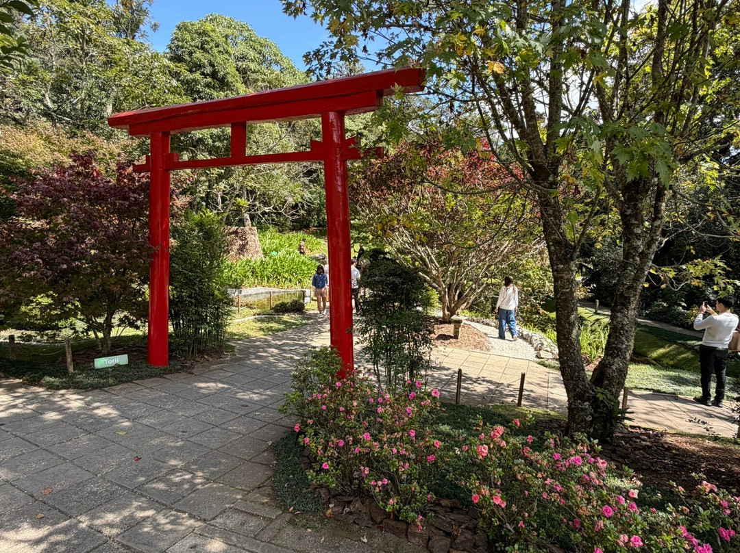 Amantikir Park-坎普斯－杜若尔当必去景点