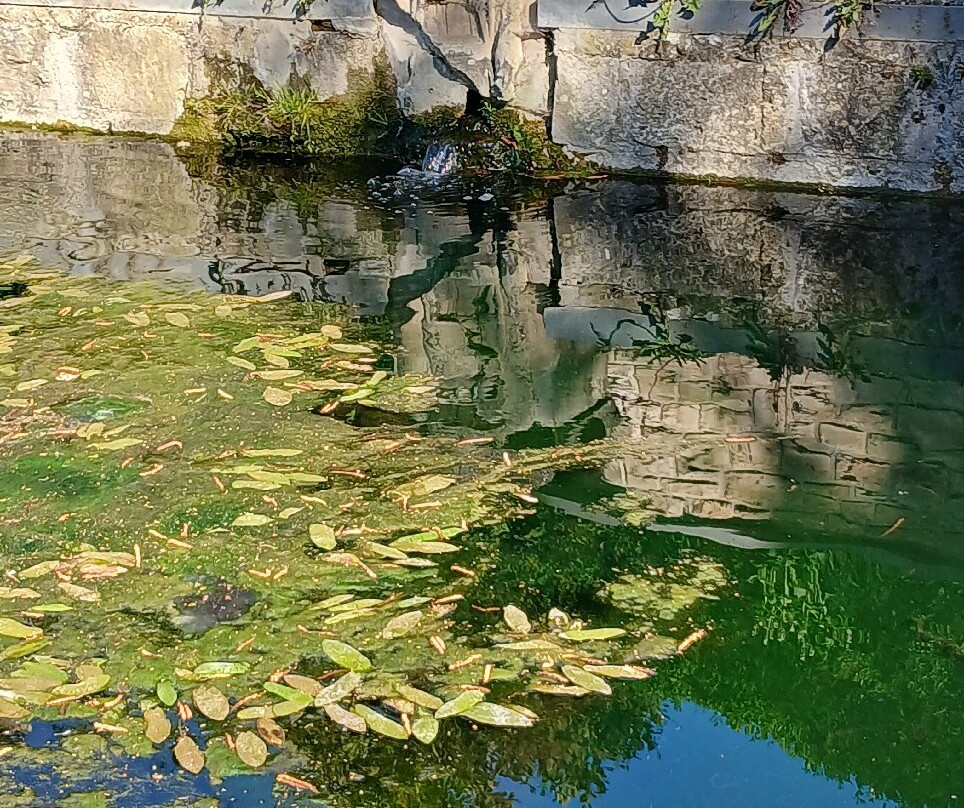Source de la Semois-阿尔隆必去景点