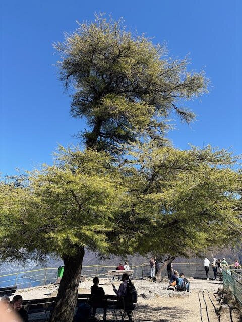 Monte San Salvatore-卢加诺必去景点