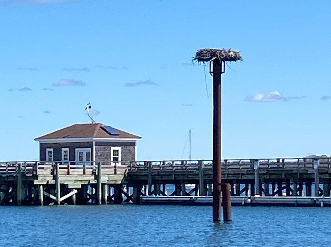 Spring Point Ledge Lighthouse-南波特兰必去景点