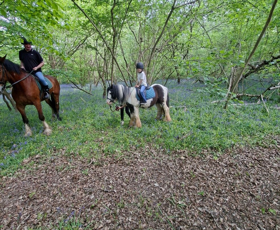 Polegate Equestrian Centre-Polegate必去景点