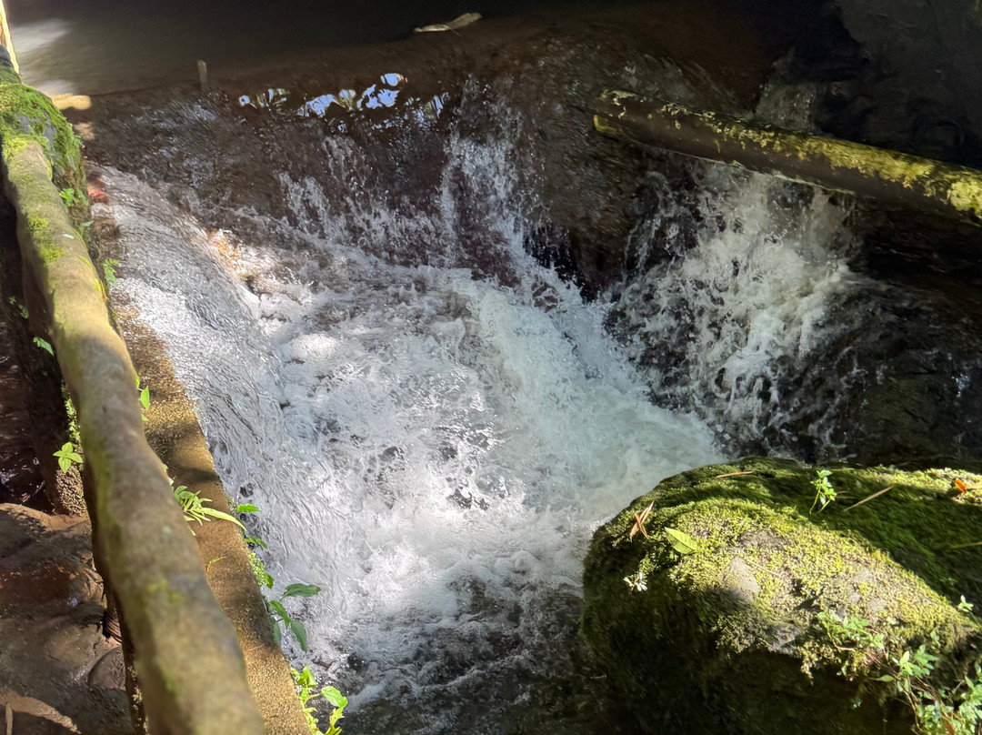 Cavernas Jumandy-Archidona必去景点