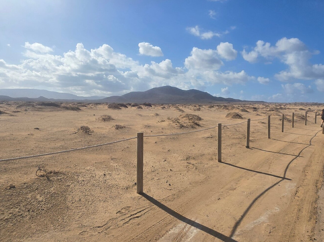 La Graciosa La Molina bike-Caleta de Sebo必去景点