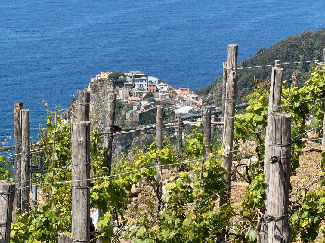 Azienda Agricola Capellini Luciano-佛拉斯特拉必去景点