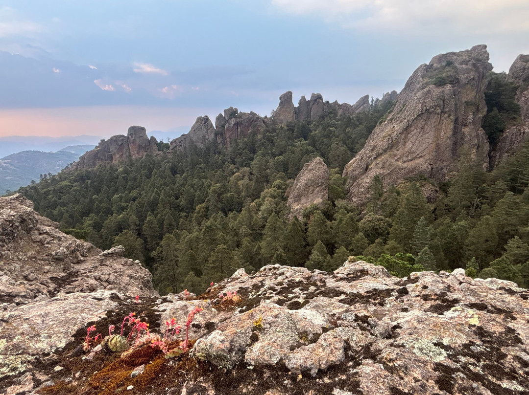 Hawks Adventures-Mineral del Chico必去景点
