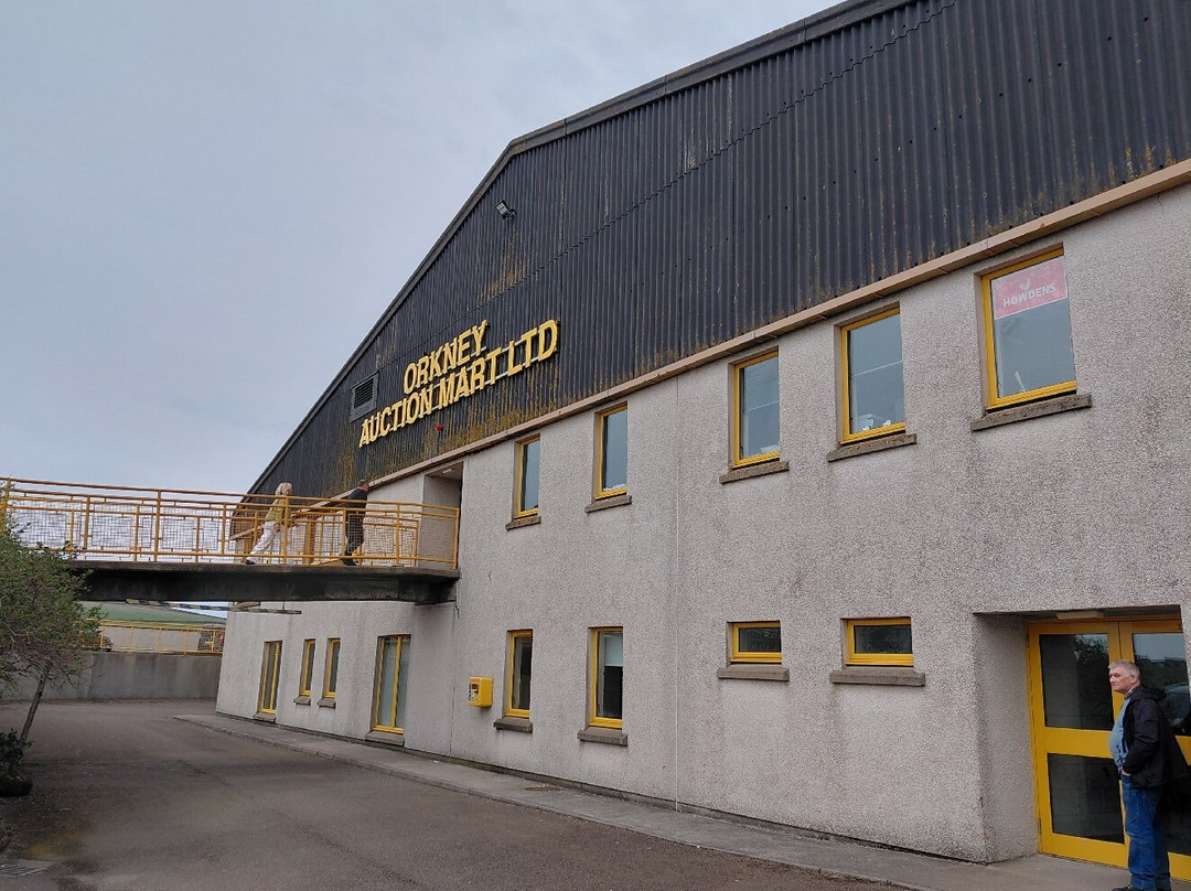 Orkney Mart Cafe
