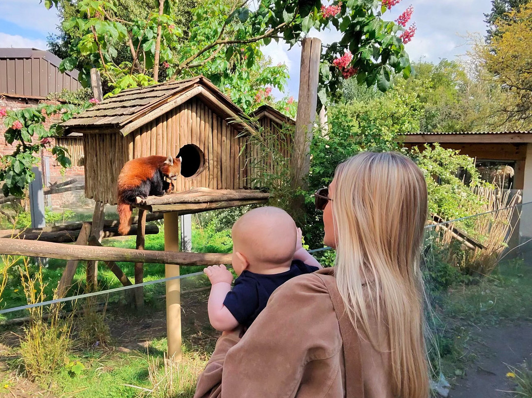 Safari Lodges At West Midlands Safari Park主图