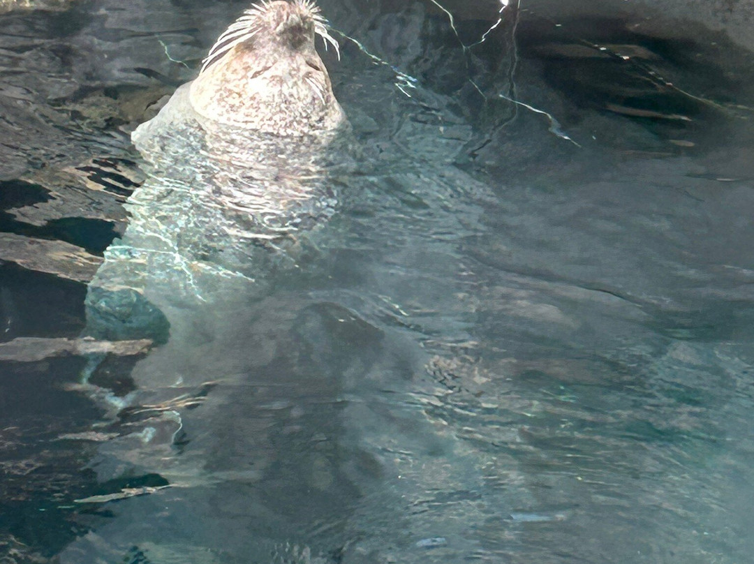 热那亚水族馆-热那亚必去景点