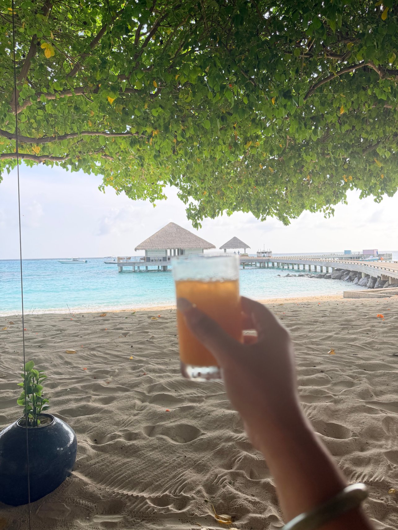 Cora Cora Maldives-旅行者