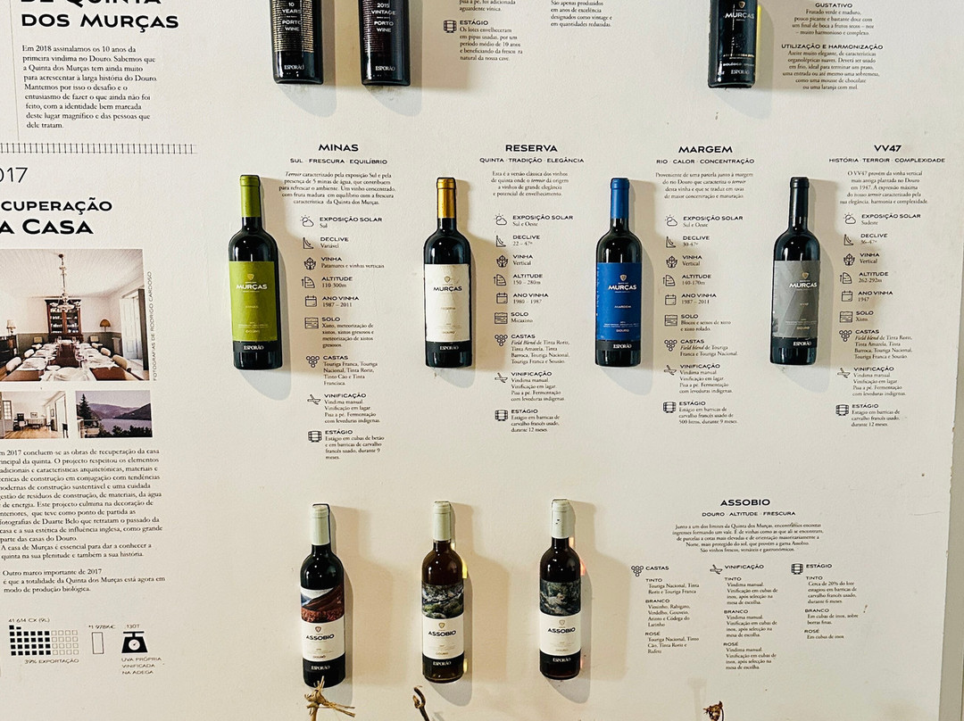 Wine Tourism - Quinta dos Murcas