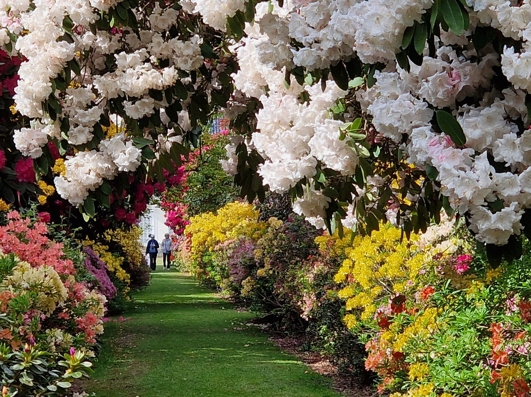 Stody Lodge Gardens-Melton Constable必去景点