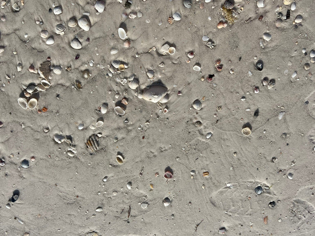 Cortez Beach-布雷登顿必去景点