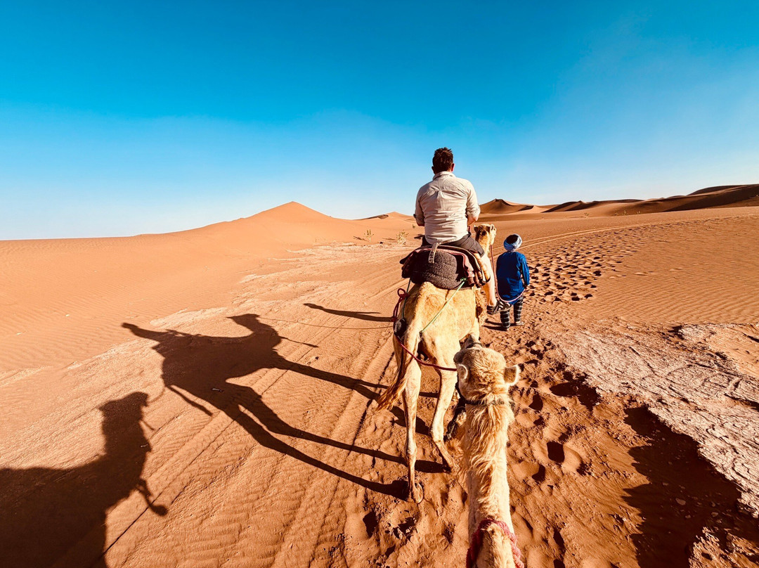 Wild Morocco-扎古拉必去景点