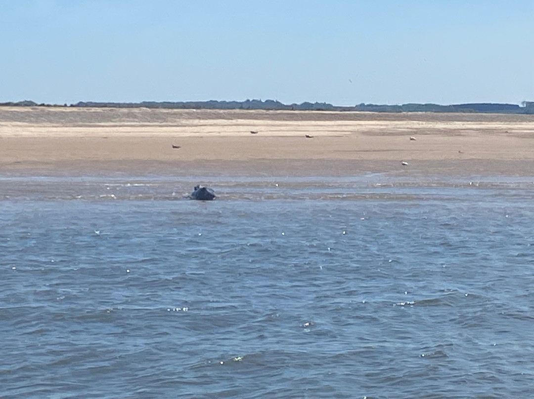 Bishops Boats Seal Trips-布莱克尼必去景点