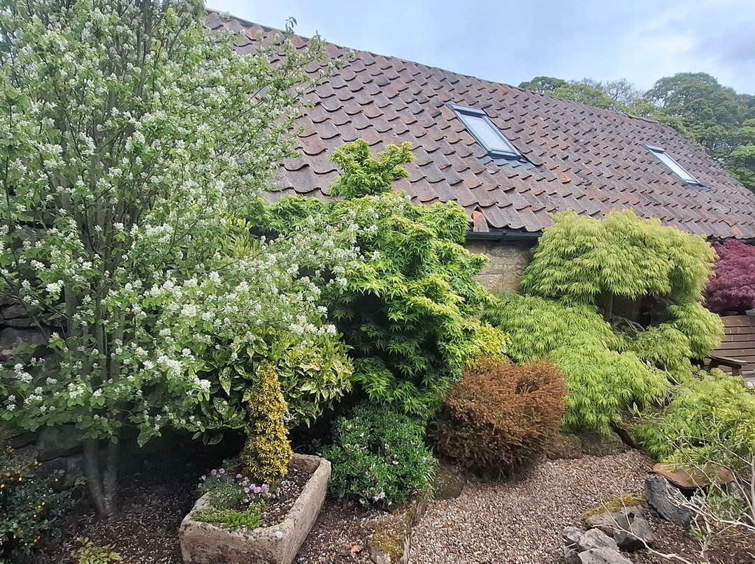 Mill Garden Centre-Armadale必去景点