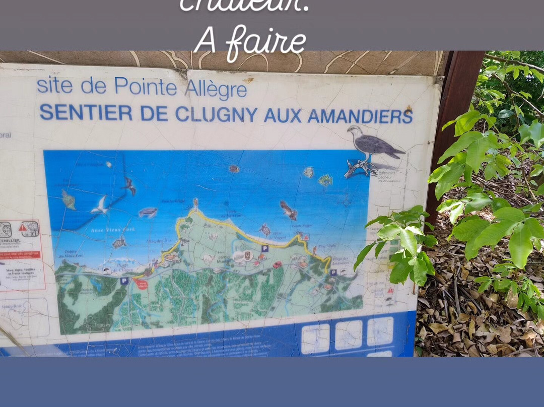 Pointe Allegre-Sainte Rose必去景点