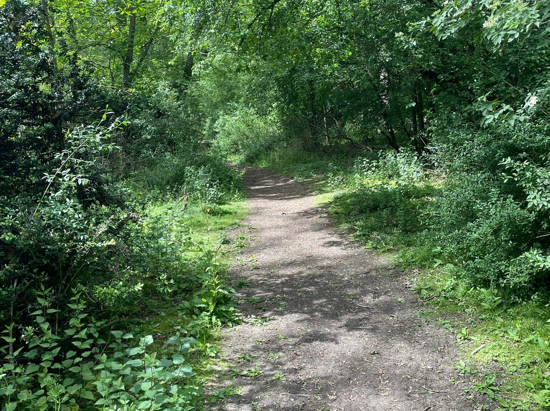 Hinchingbrooke Country Park-亨廷顿必去景点