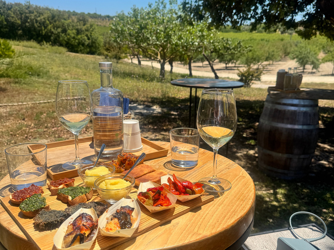 Planeta, Tenuta Buonivini - Noto-诺托必去景点