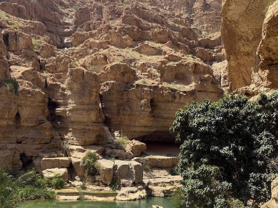 Gidoman Tours-马斯喀特必去景点