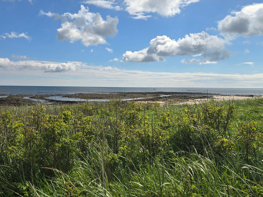 East Neuk Seaweed-St Monans必去景点