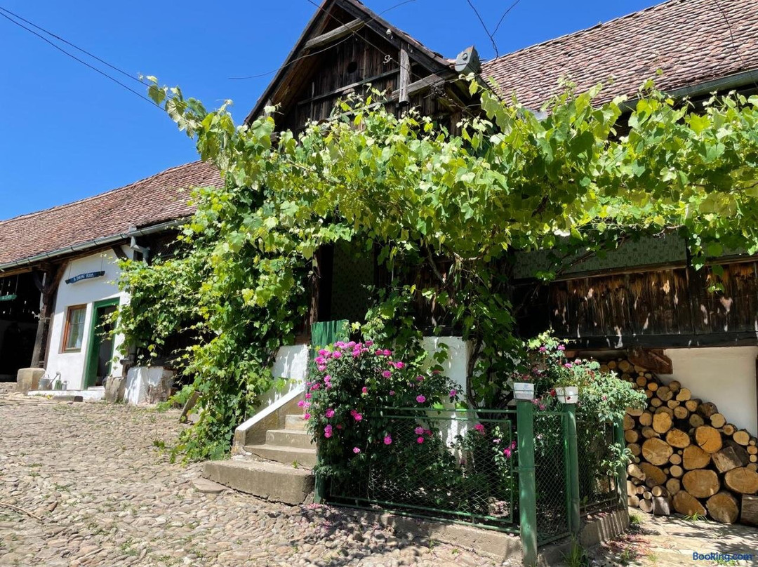 Saschiz 130 Lodging and Glamping