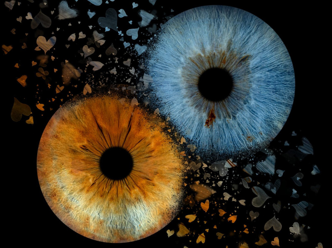 Iris Galerie Maastricht-马斯特里赫特必去景点