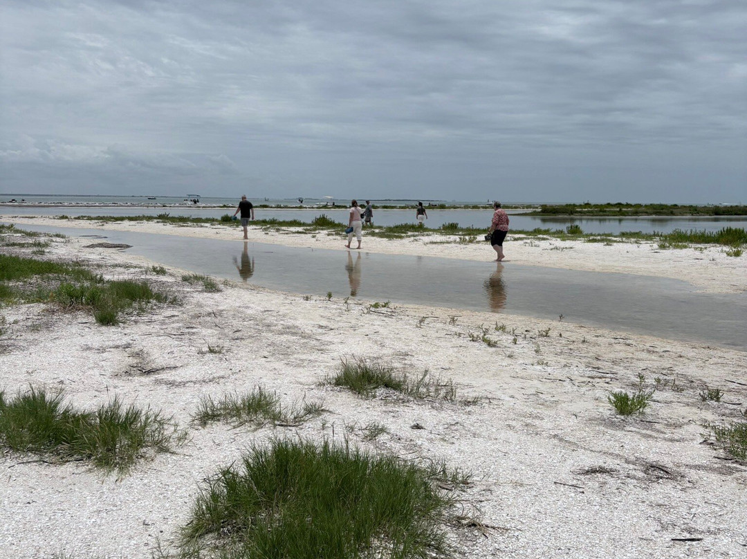 Anclote Key Preserve State Park-新里奇港必去景点