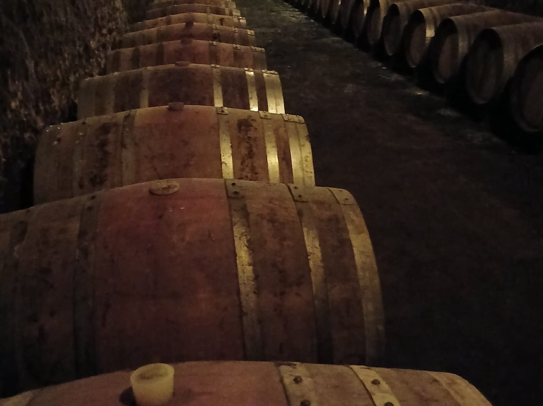 Bodegas Bilbainas-哈罗必去景点