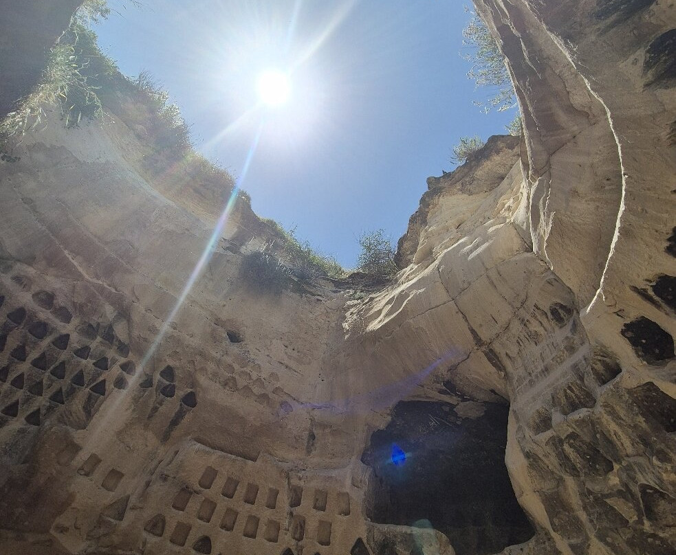 Adullam Grove Nature Reserve-Beit Shemesh必去景点