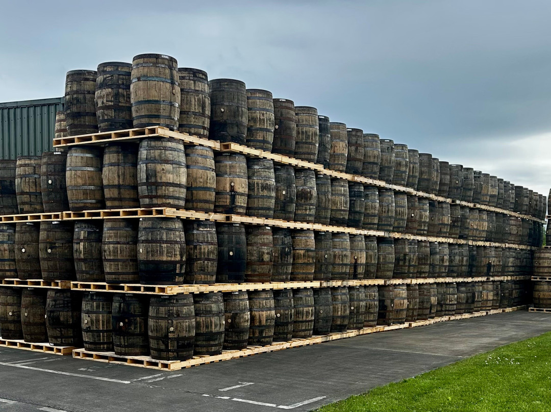 Tullamore D.E.W. Distillery Experience-Tullamore必去景点